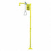 Emergency Shower Floor Mounting 20 gpm