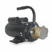 Pump Bronze 3/4 HP 115/230V 14.0/7.0Amps