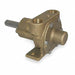 Pump Pedestal Inlet/Outlet 1/2 In.