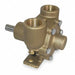 Pump Pedestal Inlet/Outlet 1 In