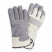 D1581 Leather Gloves Gray L PR