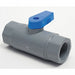 PVC Ball Valve Inline FNPT 1/4 in