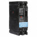 Circuit Breaker 20A 2P 480VAC ED4