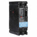 Circuit Breaker 100A 2P 480VAC ED4