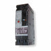 Circuit Breaker 15A 2P 480VAC HED4