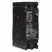 Circuit Breaker 100A 2P 480VAC HED4