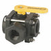 Polypropylene Ball Valve 3-Way FNPT 1 in