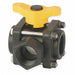 Poly Ball Valve 3-Way FNPT 1-1/4 in