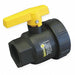 Poly Ball Valve Single Union FNPT 3/4 