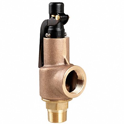 D4512 Safety Relief Valve 3/4 x 1 In 150 psi