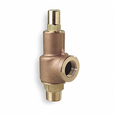 D4558 Adjustable Relief Valve 1-1/2 In 600 psi