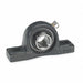 Pillow Block Bearing 2 in Bore Cast Iron