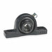Pillow Block Brg 1 3/8 in Bore Cast Iron