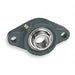 2 Bolt Flange Bearing Ball 1 3/4in Bore