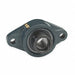 2 Bolt Flange Bearing Ball 1 1/2in Bore