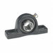 Pillow Block Brg 3/4 in Bore Cast Iron