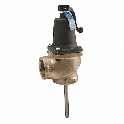 T and P Relief Valve FNPT 1-1/2 In Inlet