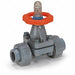 Diaphragm Valve 2-Way 1-1/4 In FNPTxSckt