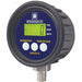 K4239 Digital Pressure Gauge 30 PSI MGA-9V