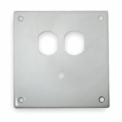 Security Wall Plate White