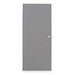 D3543 Flush Steel Door 80x30 In Cylindrical