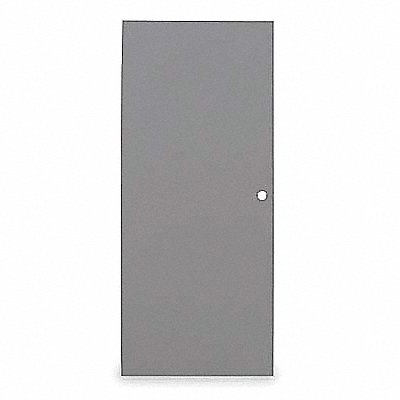 D3584 Flush Steel Door 84x48 In Cylindrical