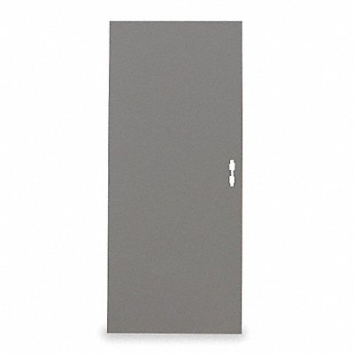 D3529 Flush Steel Door Type 2 84 x 32 In