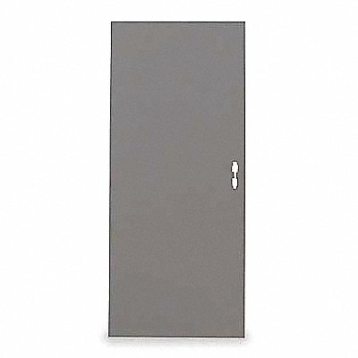 D3584 Flush Steel Door 84x48 In 18 ga