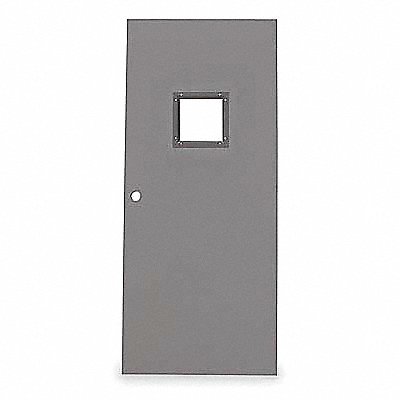 D3622 Vision Light Steel Door 84x30 In 16 ga