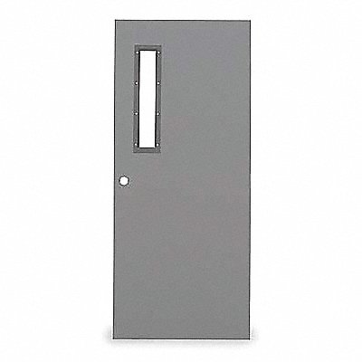 D3652 Narrow Light Steel Door 80x48 In 18 ga