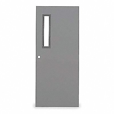 D3639 Narrow Light Steel Door 84x30 In 16 ga