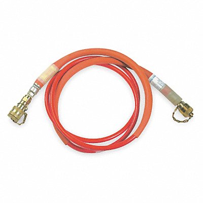 Hose 10 Foot