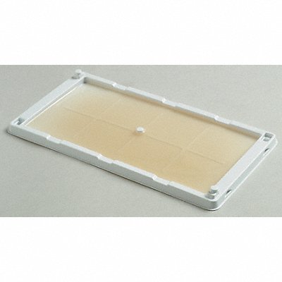 Glue Trap 10 1/4 in H White PK2