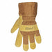 Cold Protection Gloves M Brown PR