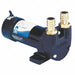 Pump Vane Cast Iron Inlet/Outlet 1 HB