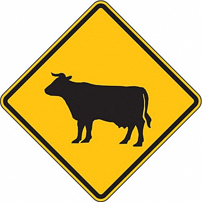 Cattle Crossing Traffic Sign 24 x 24 