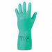 D0507 Chem Res Gloves 15mil 9 PR