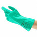 Chemical Resistant Glove 12 L Sz 10 PR