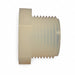 Plug 3/4 In NPT PFA