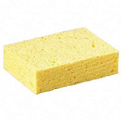 Sponge 6 in L Yellow