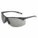 Safety Glasses TSR Gray