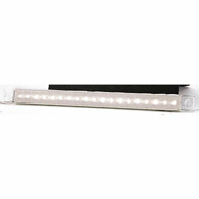 Back Up Lamp Rectangular White