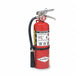 Fire Extinguisher Steel Red ABC