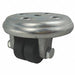 Standard Plate Caster Swivel 260 lb.