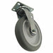 Standard Plate Caster Swivel 325 lb.