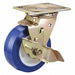 Standard Plate Caster Swivel 750 lb.