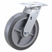 Standard Plate Caster Swivel 600 lb.