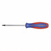 Torx Screwdriver T10