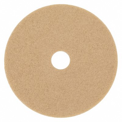 Burnishing Pad 24 in Dia Tan PK5