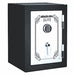 Executive Safe Black/Gray Weight 198 lb.